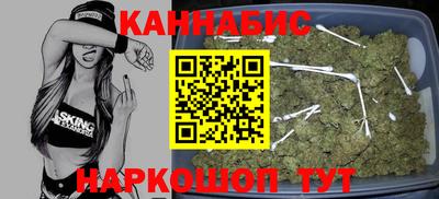 шишки Бийск
