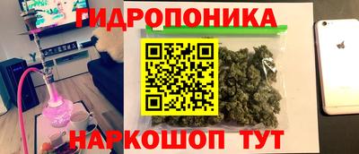 шишки Бийск