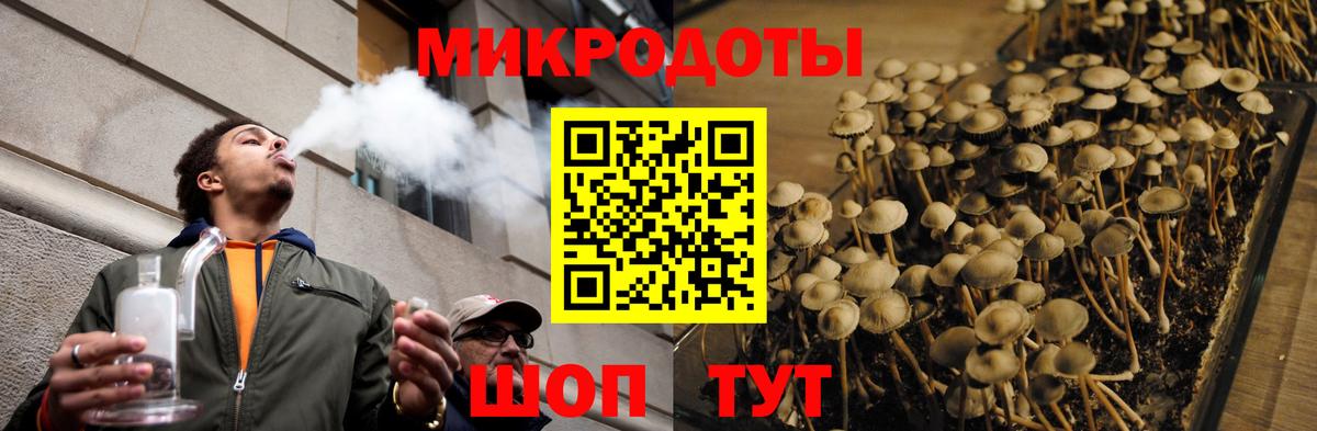 Киселёвск  Псилоцибиновые грибы ЛСД  Вход с VPN  Галлюциногенные грибы Cubensis 